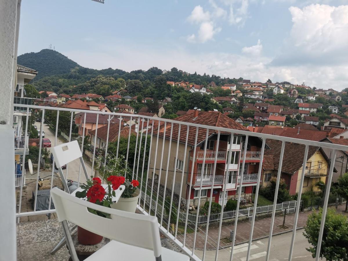 Faris Daire Donji Milanovac Dış mekan fotoğraf